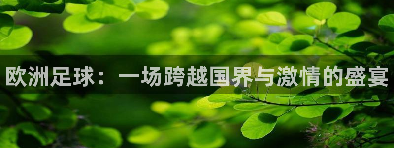 意昂2如何注册开户：欧洲足球：一场跨越国界与激情的盛宴