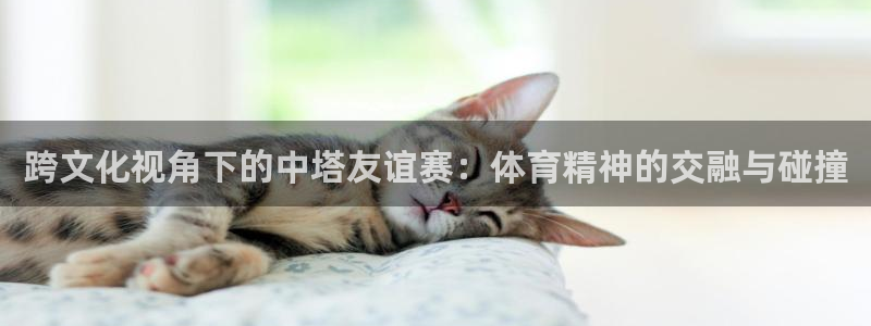 意昂2平台注册：跨文化视角下的中塔友谊赛：体育精神的交融与碰