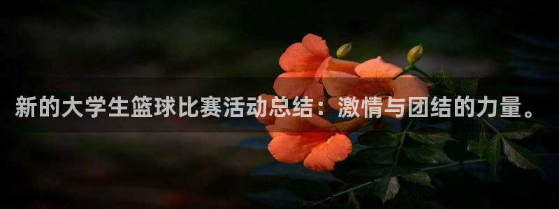 意昂2如何注册开户：新的大学生篮球比赛活动总结：激情与团结的