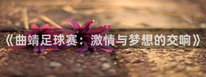 意昂2平台登录：《曲靖足球赛：激情与梦想的交响》