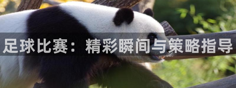 意昂2如何注册开户：足球比赛：精彩瞬间与策略指导