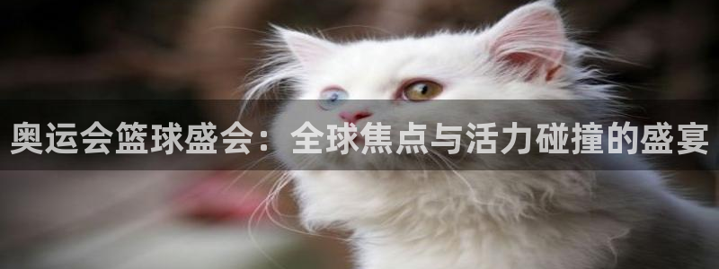 意昂2平台注册：奥运会篮球盛会：全球焦点与活力碰撞的盛宴
