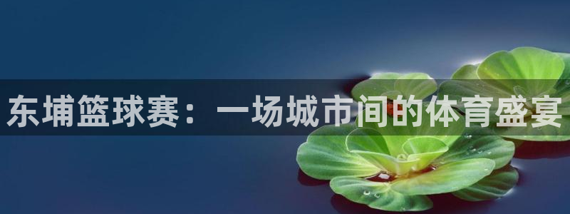  意昂2：东埔篮球赛：一场城市间的体育盛宴