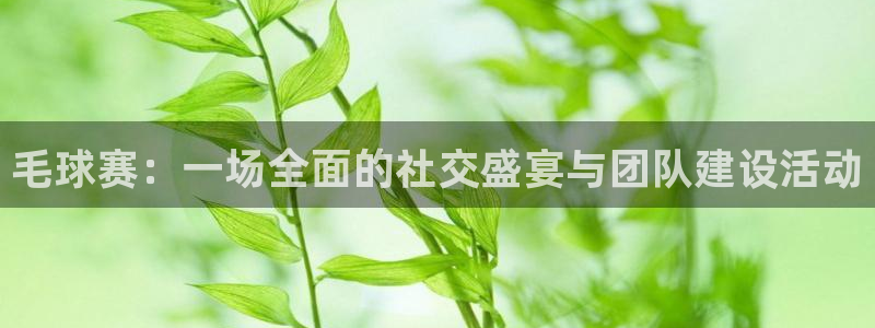 意昂2如何注册开户：毛球赛：一场全面的社交盛宴与团队建设活动