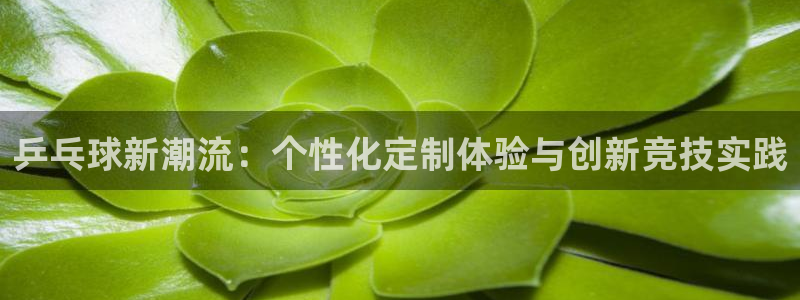  意昂2如何注册开户：乒乓球新潮流：个性化定制体验与创新竞技实