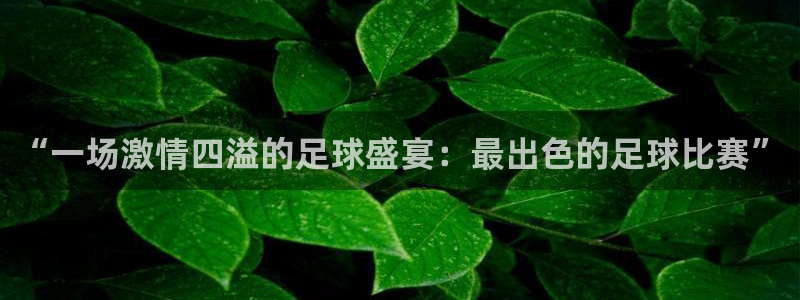 意昂2平台股东：“一场激情四溢的足球盛宴：最出色的足球比赛”