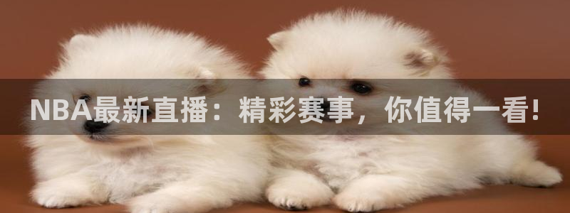  意昂2娱乐平台开户：NBA最新直播：精彩赛事，你值得一看!