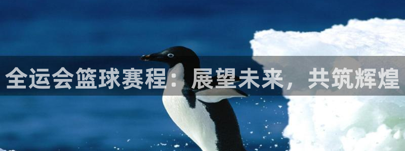 意昂2官网：全运会篮球赛程：展望未来，共筑辉煌