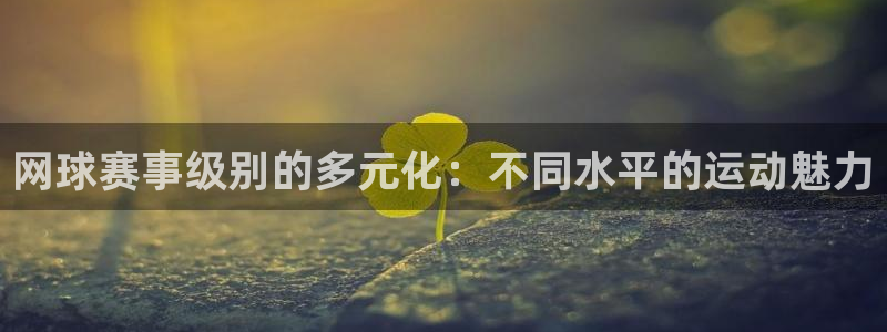 意昂2平台股东：网球赛事级别的多元化：不同水平的运动魅力