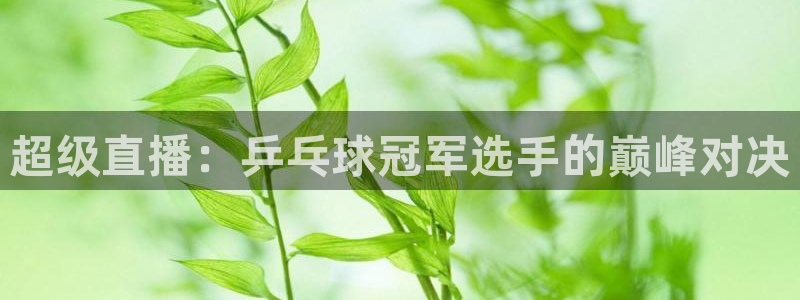 意昂2体育在线平台登录：超级直播：乒乓球冠军选手的巅峰对决