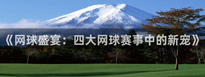 意昂2平台：《网球盛宴：四大网球赛事中的新宠》